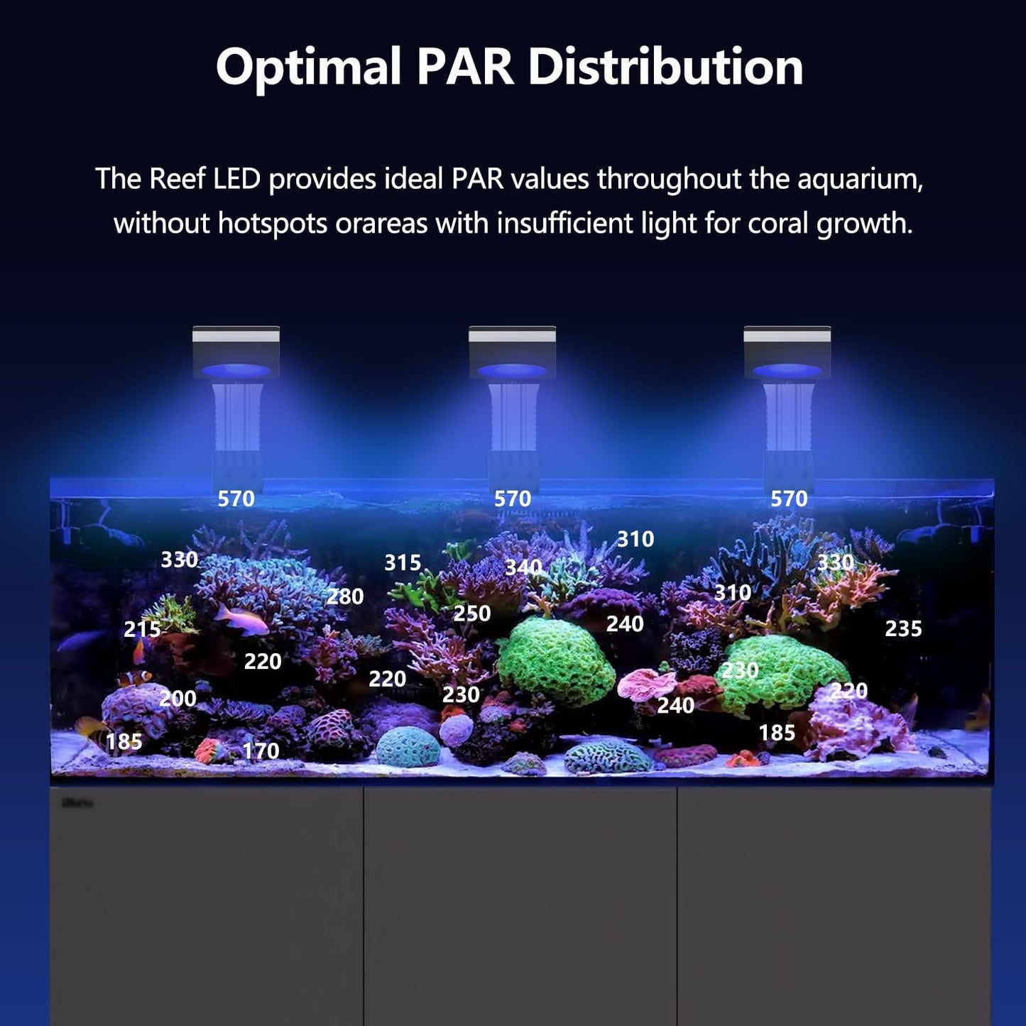 Aquarium with Reef LED lights displaying optimal PAR distribution for coral growth.