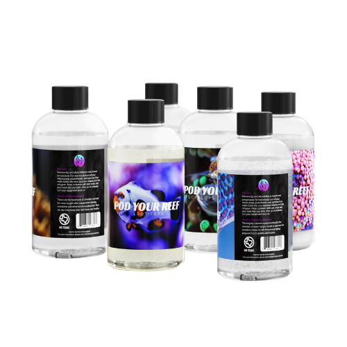 Texas Copepod Zooplankton - 6 Bottle Bundle