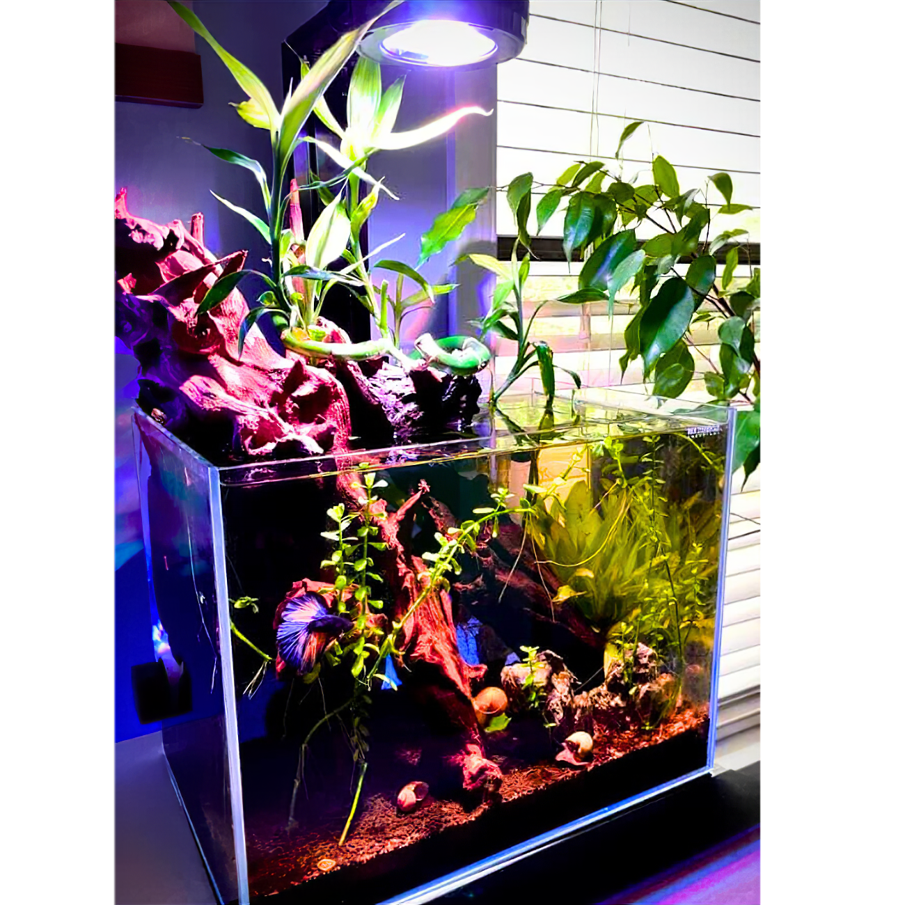 Single Pixel LED Bundle