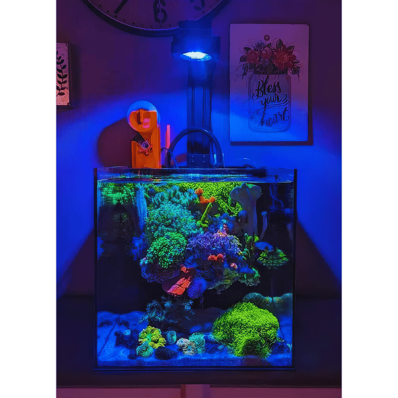 Single Pixel LED Bundle