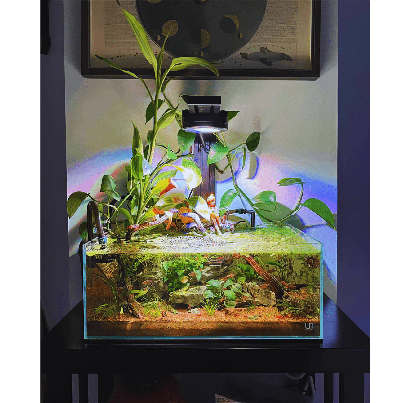 Single Pixel LED Bundle