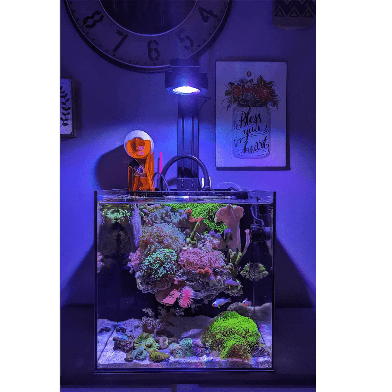 Single Pixel LED Bundle
