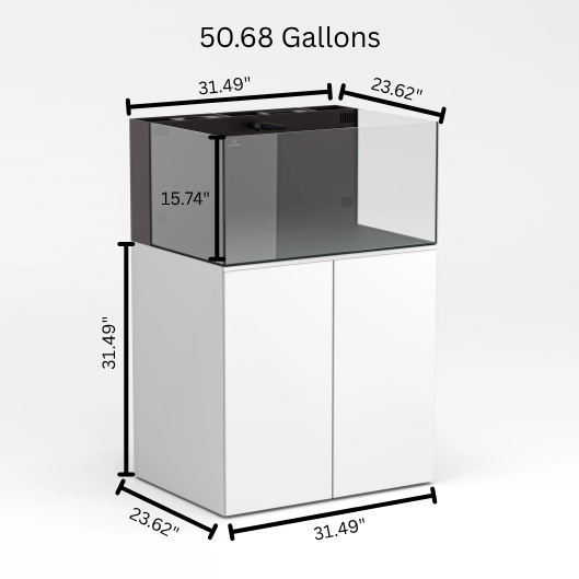 50 G Dimensions
