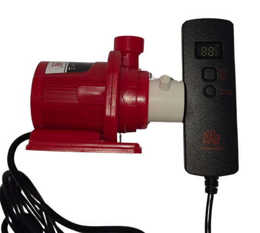 Protein Skimmer