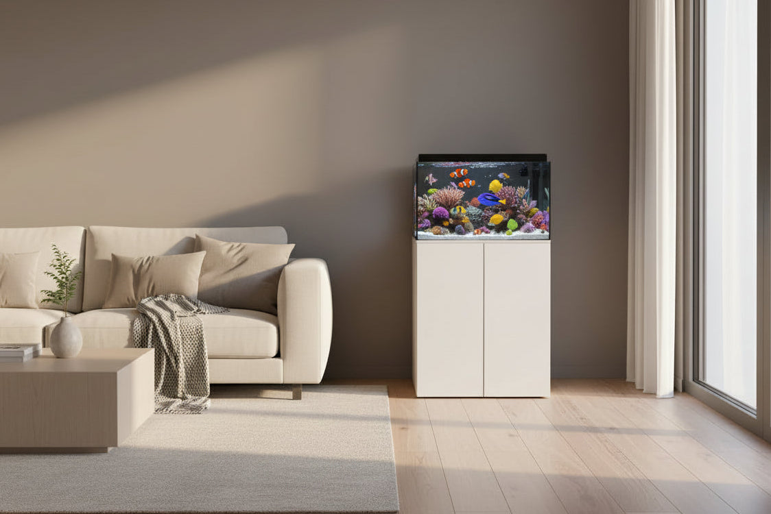 Reef Ready 35-Gallon AIO System – Sea Cardinal