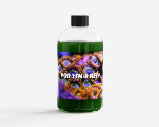 Nannochloropsis Phytoplankton Culture