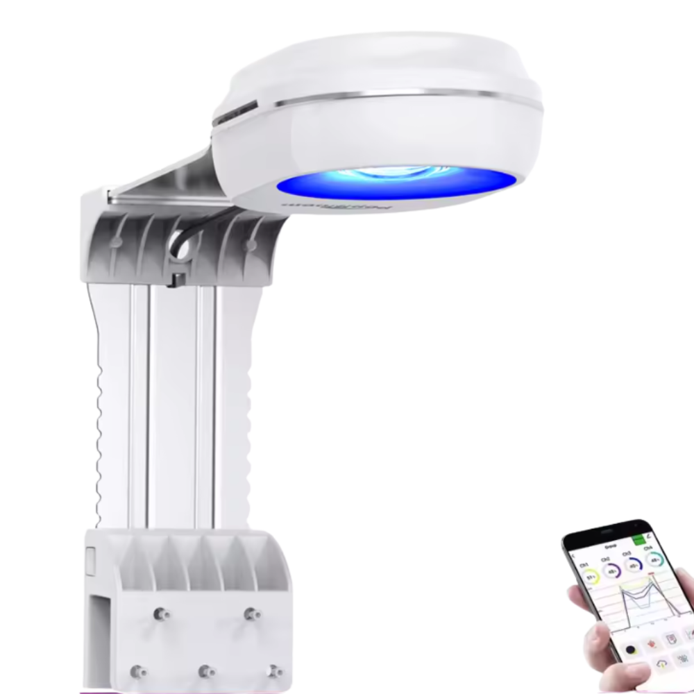 PopBloom RL60 LED