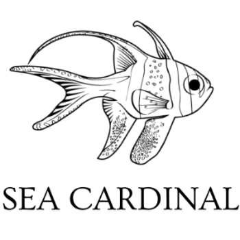Sea Cardinal