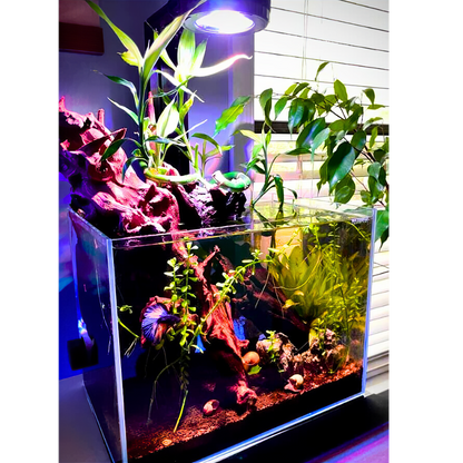Single Pixel LED Bundle