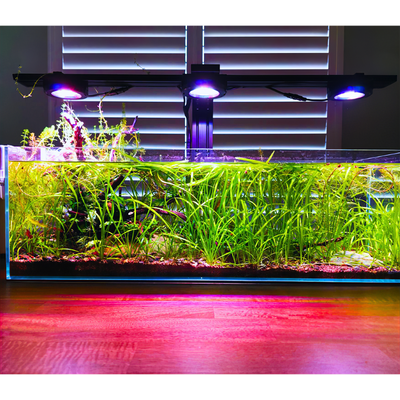 Single Pixel LED Bundle
