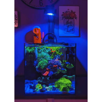 Single Pixel LED Bundle