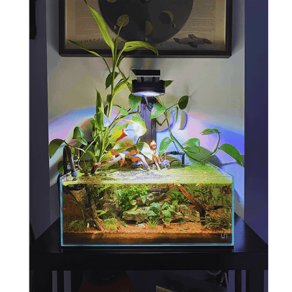 Single Pixel LED Bundle