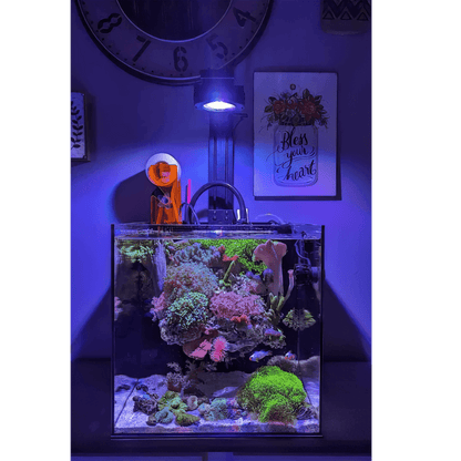 Single Pixel LED Bundle