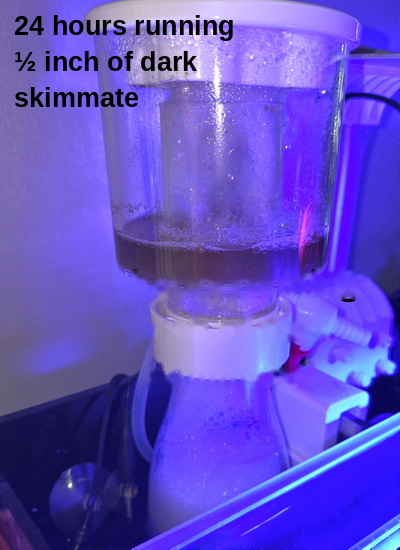 Protein Skimmer